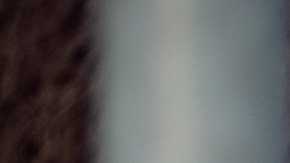 Un trabajador inmigrante indocumentado está obligado a pagar impuestos. Ve cómo.