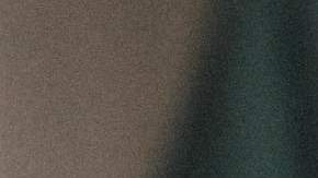 Los estadounidenses que ya recibieron el cheque de estímulo de la Ley CARES tuvieron un dilema por resolver: ¿qué hacer con el dinero?