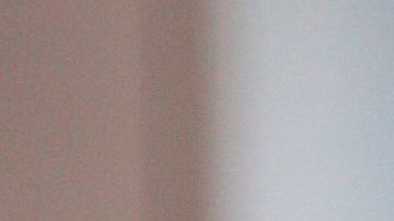 El seguro para mascotas Pumpkin tiene 5 meses en el mercado y ya es el favorito de muchos peludos.