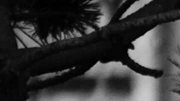 Las personas sin hogar, elegibles para el cheque de estímulo de la Ley CARES, podrían no estar enterados siquiera de que pueden recibir el pago.