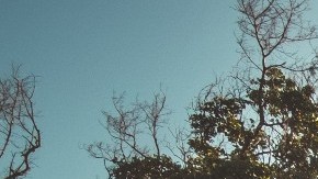 No hay buenas noticias para Puerto Rico si se avala un segundo cheque hasta después de las elecciones presidenciales del 3 de noviembre.