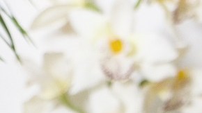 De acuerdo a la Oficina de Estadísticas Laborales, el salario de los masajistas es de $42,820 dólares anuales, algo así como un promedio de $20.59 por hora.