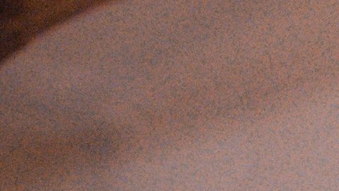pexels-erick-alfredo-sasi-4560374