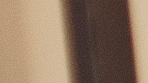 Así como cuidas de tu peinado, tu vestimenta y tus palabras rumbo a tu entrevista de trabajo.