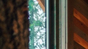 La empresa sumó menos suscriptores a lo esperado en el tercer trimestre del año.