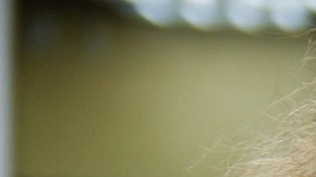 Expertos aseguran que hacer un trabajo donde eres bueno, será un trabajo que te haga más feliz.