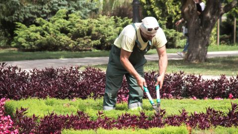 Si te interesa este trabajo, debes saber que la Asociación Nacional de Profesionales del Paisaje ofrece siete certificaciones en paisajismo y mantenimiento de terrenos para trabajadores en varios niveles de experiencia.