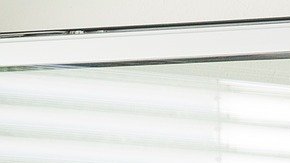 La profesión de maestro es una de las que mejores expectativas presenta rumbo al año 2029, con la generación de 51,400 plazas.