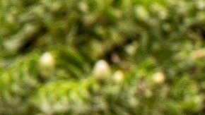 Es importante que sepas que, sea cual sea el tipo de lesiones que te hayas causado durante tu jornada laboral, tienes el derecho de ofrecer a tu abogado únicamente la información necesaria y relevante.