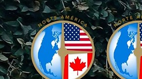 Candidato al Auto del Año