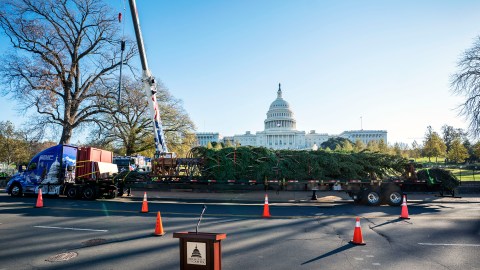 The 2020 US Capitol Christmas Tree arrives on the grounds of the US Capitol in Washington, DC, on November 20, 2020. - The Capitol Christmas Tree is an Engelmann Spruce from the Grand Mesa, Uncompahgre and Gunnison National Forests in Colorado. (Photo by KEVIN DIETSCH / AFP) (Photo by KEVIN DIETSCH/AFP via Getty Images)