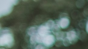 Joe Biden podría brindar alivio a millones de egresados universitarios que cargan con una deuda estudiantil.