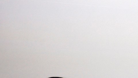 A pesar de la fluctuación de sus productos, la empresa suele brindar una de las opciones de compra más económicas
