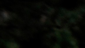 KANSAS CITY, MO - MARCH 11:  Students walk down the street after leaving Westport High School on March 11, 2010 in Kansas City, Missouri. The High School is among 29 in a district of 61 schools that will close due to the new budget plan that is making the cuts to ward off bankruptcy.  (Photo by G. Newman Lowrance/Getty Images)