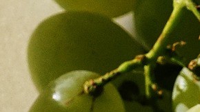 Los puestos con mayor número de vacantes son los de Conductor de ruta, Agente de servicio al cliente, Personal Shopper o Asistente de operaciones.