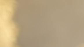 Bath & Body Works cuenta con 1,600 tiendas con empleos y salarios competitivos.