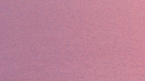 Aunque difícil, es posible que te devuelvan el dinero.