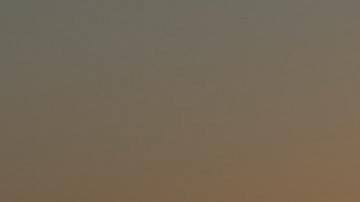 Día de los Veteranos