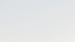 La compra de un automóvil es muchas veces una decisión poco racional.