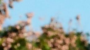 Food is loaded as drivers in their vehicles wait in line on arrival at a "Let's Feed LA County" food distribution hosted by the Los Angeles Food Bank on December 4, 2020 in Hacienda Heights, California. - While coronavirus cases continue to surge nationwide and shutdowns return, the US economic recovery stalls with just 245,000 jobs in the final report of 2020 as the unemployment rate fell to 6.7 percent, according to Bureau of Labour Statistics. (Photo by Frederic J. BROWN / AFP) (Photo by FREDERIC J. BROWN/AFP via Getty Images)