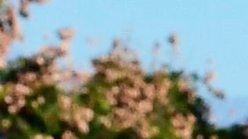 Food is loaded as drivers in their vehicles wait in line on arrival at a "Let's Feed LA County" food distribution hosted by the Los Angeles Food Bank on December 4, 2020 in Hacienda Heights, California. - While coronavirus cases continue to surge nationwide and shutdowns return, the US economic recovery stalls with just 245,000 jobs in the final report of 2020 as the unemployment rate fell to 6.7 percent, according to Bureau of Labour Statistics. (Photo by Frederic J. BROWN / AFP) (Photo by FREDERIC J. BROWN/AFP via Getty Images)