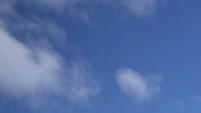 La CPSC ordenó el retiro inmediato de estos productos de Dollar Tree.