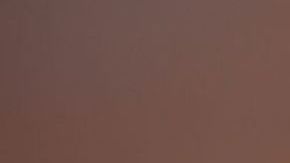 Productos como Lysol y Clorox han sido de los más socorridos en la crisis del coronavirus.