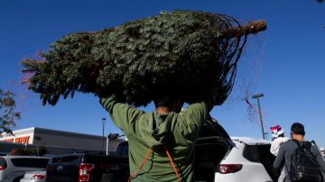 El 2020 ha traído un mayor deseo de tener árboles de Navidad naturales.