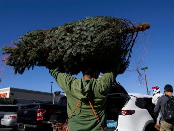 El 2020 ha traído un mayor deseo de tener árboles de Navidad naturales.