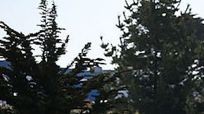 Diciembre reúne una serie de factores para tener los precios más bajos.