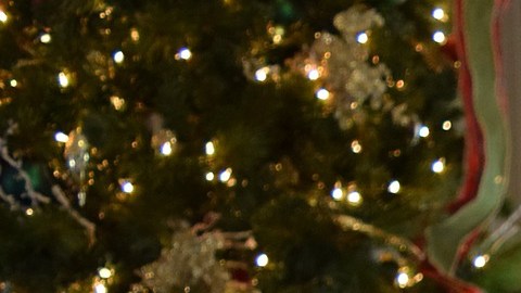 Navidad