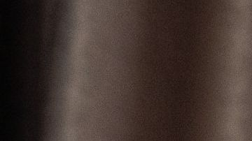 Segundo cheque de estimulo, dependientes