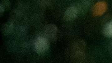 Segundo cheque de estimulo, familia