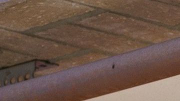 A store closing banner hangs above Trump 2020 hats on a storefront on October 23, 2020 in downtown El Paso, Texas. - El Paso's downtown has always been reliant on shoppers from neighboring Ciudad Juarez, but the border closure to non-essential traffic from Mexico has hurt businesses, whose main clientele is Mexican shoppers. (Photo by Paul Ratje / AFP) (Photo by PAUL RATJE/AFP via Getty Images)