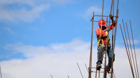 Trabajador
