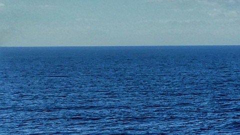 Mientras trabajas con American Cruise Lines, se te proporcionará alojamiento y comida, así como tus comidas en el barco.