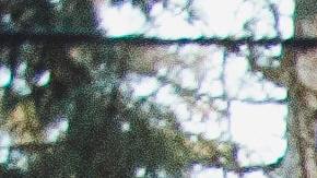 Auto en Estados Unidos