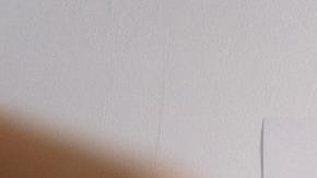 Vacuna contra el Covid-19