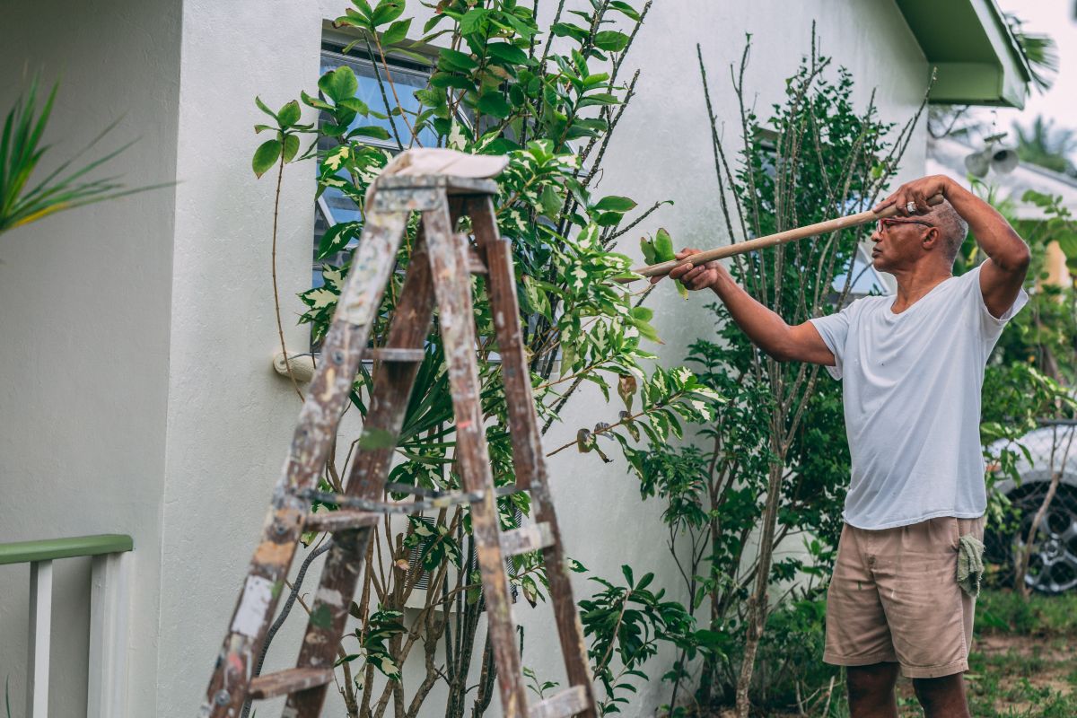 Si prefiere algo activo que también sea bastante sencillo, trabajar como pintor de casas podría ser adecuado.