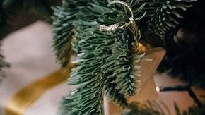 Las compras por internet han crecido al doble de lo esperado antes de la pandemia.