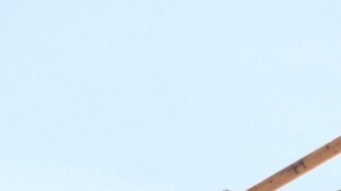 Es preciso saber que en el noreste de Estados Unidos se ve reflejado con un aumento del 59% en la construcción de viviendas, aunque cayó casi un 5% en el medio oeste y un 6% en el sur. 