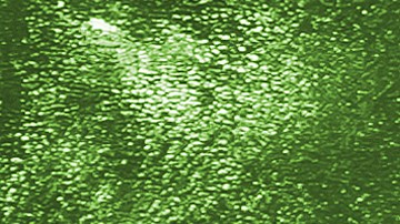 Lecciones sobre dinero que no te enseñan en la escuela