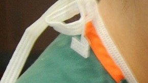 Los veterinarios en Puerto Rico son considerados una profesión con muy buena paga, con salarios por hora de $43.95.