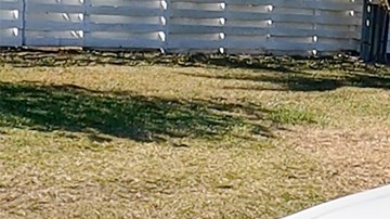 Honda lleva varias décadas destacando por su eficiencia en combustible.