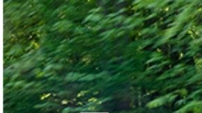 Los mejores autos 2021: Hyundai Elentra, Ford F150 y Ford Mustang Mach E