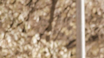 Si eres una persona adulta mayor o tienes una discapacidad, podrías tener el segundo cheque de estímulo de la misma forma en que cobras tu Seguro Social.