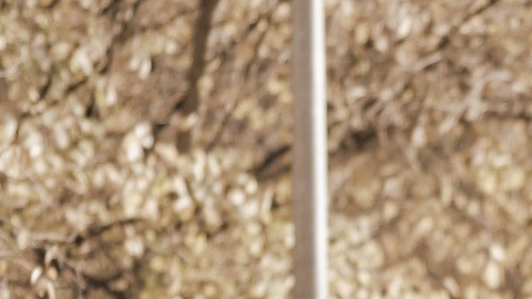 Si eres una persona adulta mayor o tienes una discapacidad, podrías tener el segundo cheque de estímulo de la misma forma en que cobras tu Seguro Social.