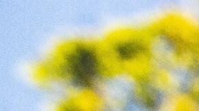 Cheque de estímulo STAR