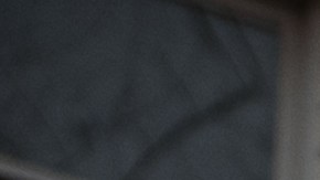 LOUISVILLE, KY - JANUARY 02: DC Under Siege protesters display their Stop The Steal signs in front Sen. Majority Leader Mitch McConnell's vandalized home on January 2, 2021 in Louisville, Kentucky. Black Lives Matter demonstrators and right-wing DC Under Siege members gathered during the Won't Back Down Rally to protest Sen. McConnell's decision to block the most recent stimulus bill. (Photo by Jon Cherry/Getty Images)