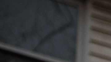 LOUISVILLE, KY - JANUARY 02: DC Under Siege protesters display their Stop The Steal signs in front Sen. Majority Leader Mitch McConnell's vandalized home on January 2, 2021 in Louisville, Kentucky. Black Lives Matter demonstrators and right-wing DC Under Siege members gathered during the Won't Back Down Rally to protest Sen. McConnell's decision to block the most recent stimulus bill. (Photo by Jon Cherry/Getty Images)